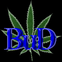 Enter the BuD
